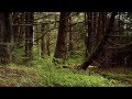 Port St. Willow - Amawalk (Unofficial Music Video ...