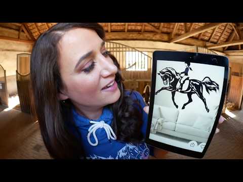 Kanns nicht fassen!! Unglaubliche Pferdeprodukte auf Wish - so wird dort betrogen