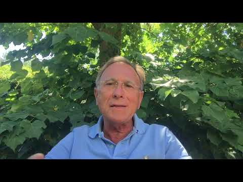 Terapia del T2DM   Sulfoniluree e Repaglinide