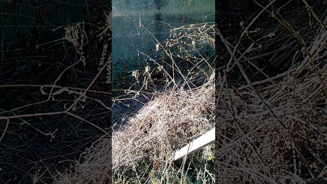 JOHN SEES DEMONS FROM HELL - Random ep. 1