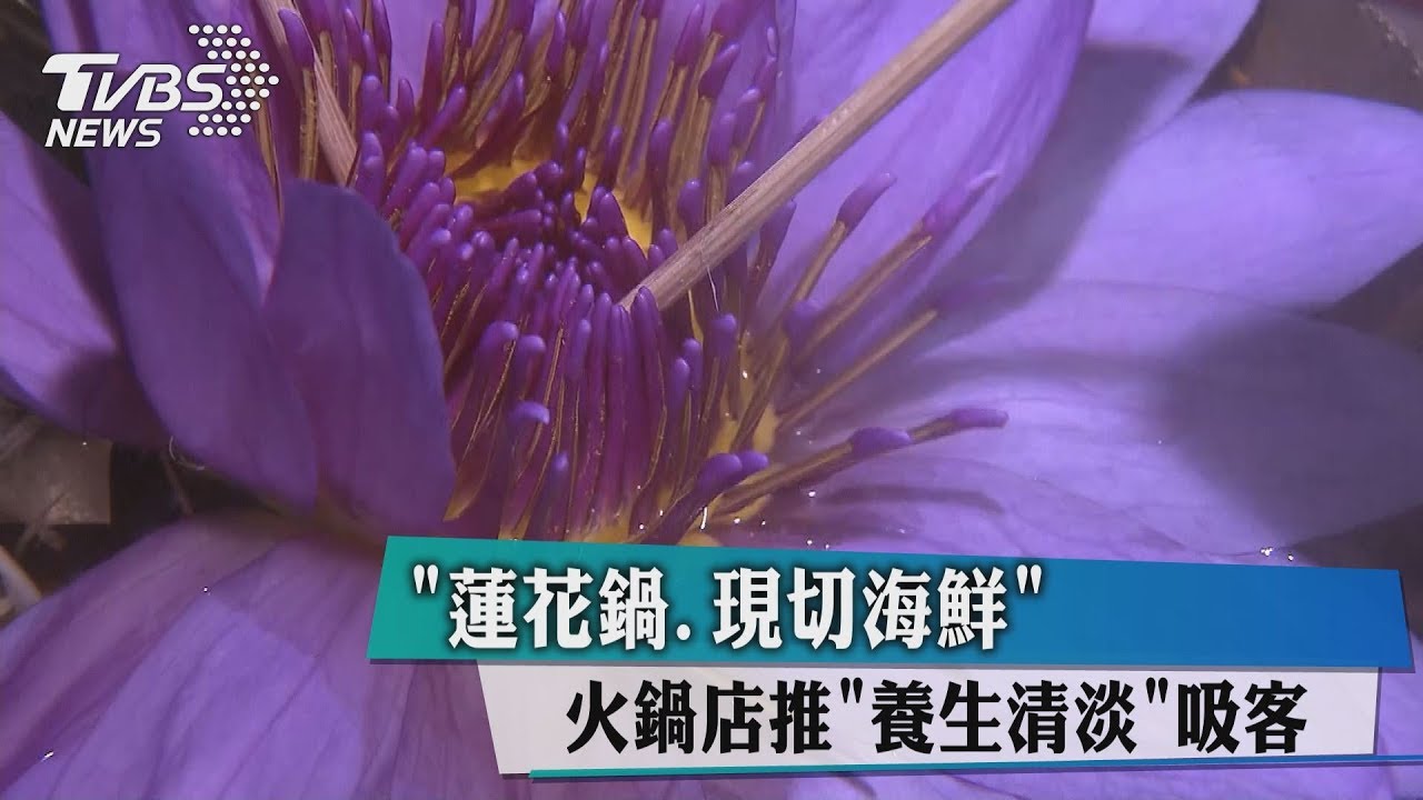 蓮花鍋、現切海鮮 火鍋店推「養生清淡」吸客