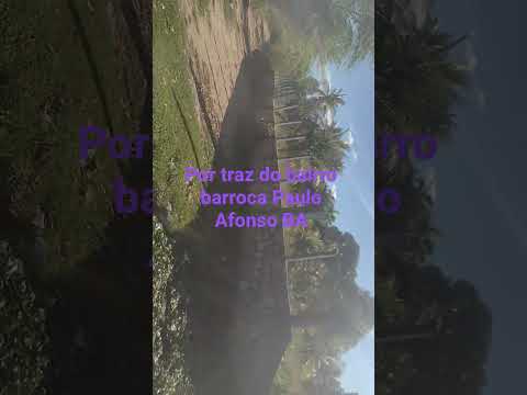 que lindo, de pão de açúcar Al até Paulo Afonso na BA e muito lindo.