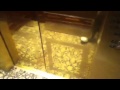 Otis Lowrise Elevators Ny Palace NYC