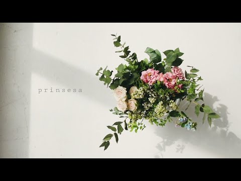 Prinsesa (Martyr or Murderer OST) - Marion Aunor (Official Lyric Video)