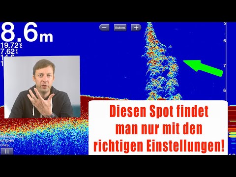 ★ Die Mutter aller Hotspots ★ findest du nur mit DIESEN Echolot EINSTELLUNGEN 🛠  (2023 Update)