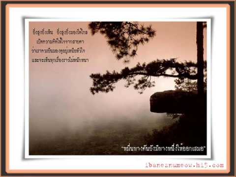 คลิกเพื่อดูคลิปวิดีโอ