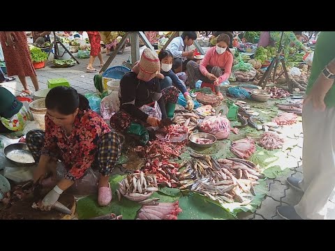 Asian Wet Market - Natural Living In Phnom Penh Market - My Travel Around Market