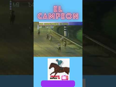 MY OWN BUSINESS COPA CONFRATERNIDAD DEL CARIBE 2003 #caballos