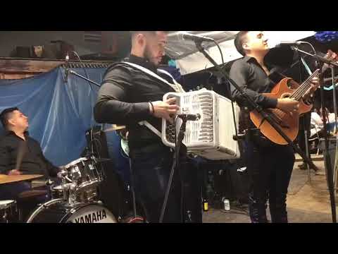 Grupo Agrado- perro de cadena