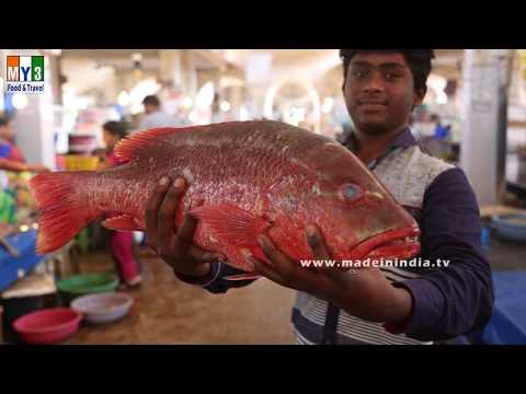 download lagu mp3 mp4 Red Snapper Fish In India, download lagu Red Snapper Fish In India gratis, unduh video klip Red Snapper Fish In India