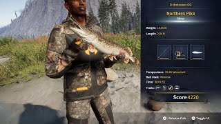 Diamond's Peak Photo Challenge 2 - Catch A Sliver Rank Northern Pike - COTW : The Angler