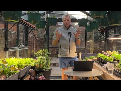 January Seed Starting: Your Indoor Gardening Guide