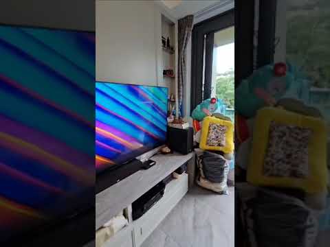 The Regent Youtube Video