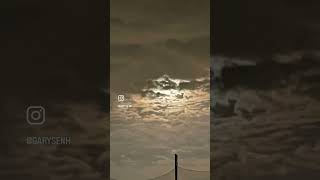 Midnight Moon in Pennsylvania or Should I say looks like in Transylvania 😂🌹🙏☮️❤️