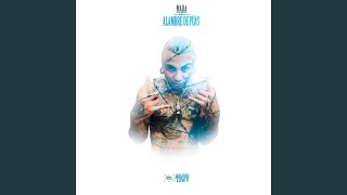 Video Por el Gramo (Audio) de Pinche Mara