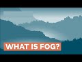 कोहरा क्यों गिरता है why fog falls in winter shorts science physics winter fog