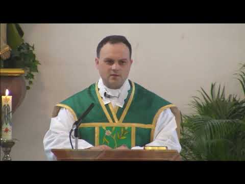 Das Skapulier vom Berge Karmel