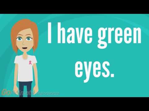 Have / Has Basics - ESL Present Tense Level 1 - Adult Education