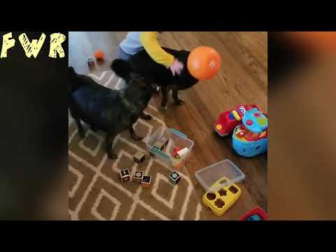 फनी विडियो | पार्ट 7 | Fun With Rushikesh | FWR