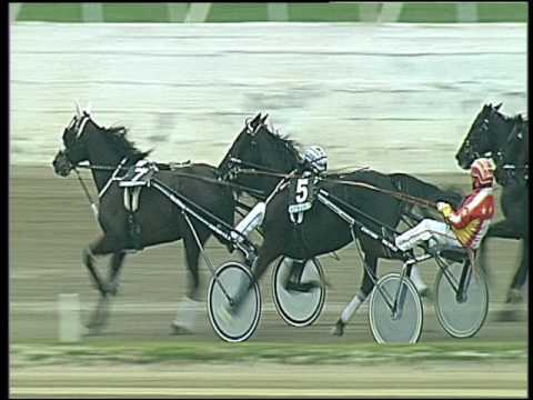 Trotto 24/02/2017 - 4ª corsa