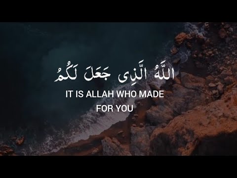 ۞Surah Ghafir ۞ 📖Verse 64-65 🎙️Samir Ezzat