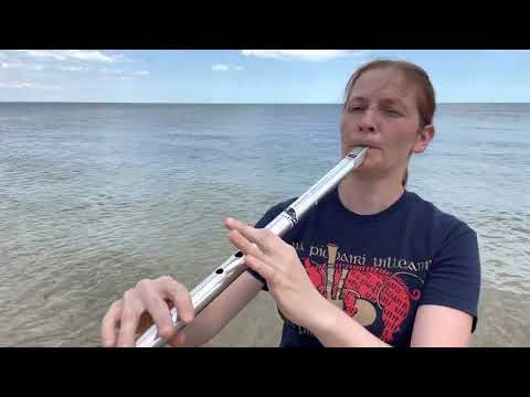 Amhrán na farraige | Song of the sea | low whistle cover