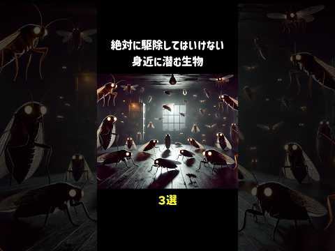 羽足動物について詳しく解説