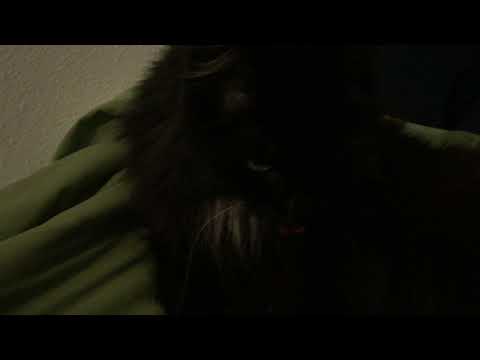 19 years old and she still suckles!