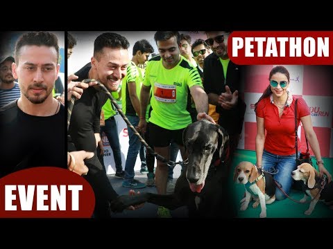 download lagu mp3 mp4 Petathon, download lagu Petathon gratis, unduh video klip Petathon