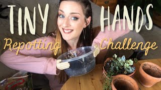 Repotting Succulents with TINY HANDS!