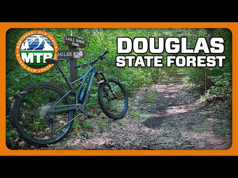 Douglas State Forest Mountain Biking