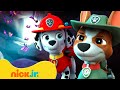 PAW Patrol Gets Trapped In A Spooky Bat Cave W Tracker Nick Jr