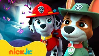 Download lagu PAW Patrol Gets Trapped in a Spooky Bat Cave! π¦ w/ Tracker | Nick Jr. mp3 Download lagu PAW Patrol Gets Trapped in a Spooky Bat Cave! π¦ w/ Tracker | Nick Jr. mp3