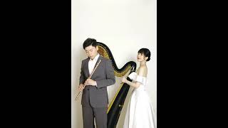 Harp&Flute 一首很像《魔兽世界》BGM的乐曲 Sweet Molly‘s Lament