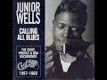 Junior Wells -  Two Headed Woman