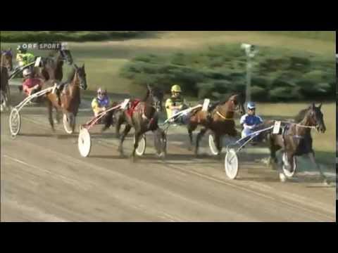 Badener Meile 2015 und Stutenderby 2015