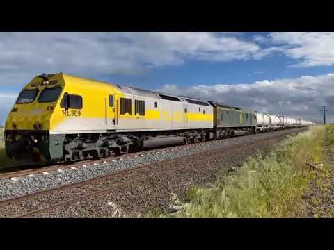 QUBE RL309 & RL303 Nathan P5 HORN SHOW