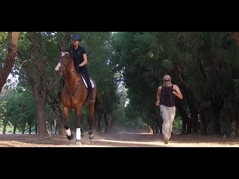 Man versus Horse training in Dubai, to prepare an UltraMarathon