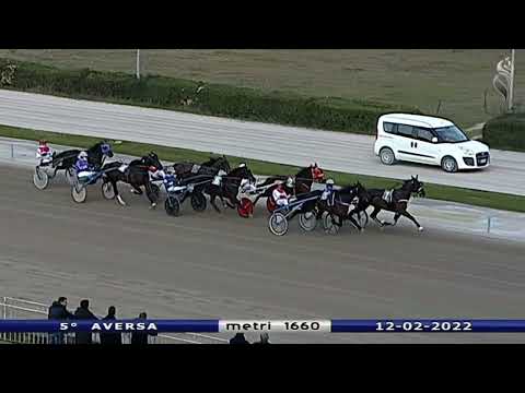 Aversa trotto 12 Febbraio 2022 - 5° Corsa