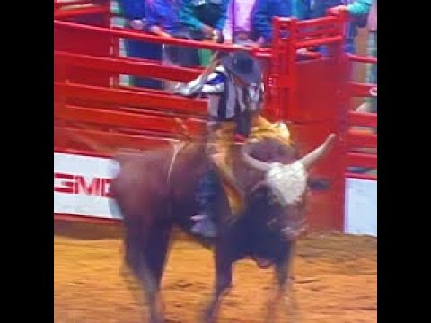 PREMIERE SERIES CLASSIC CHAMPIONSHIP 🏆  ADRIANO MORAES RIDES 🇧🇷 #shorts #bullriding #viral