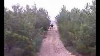 Garlaban* ( On dirait que j'suis peureuse comme ca mais NAN!