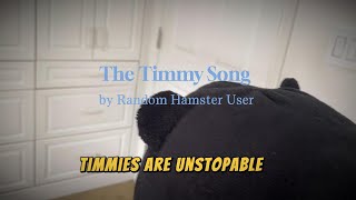 Cover art for The Timmy Song