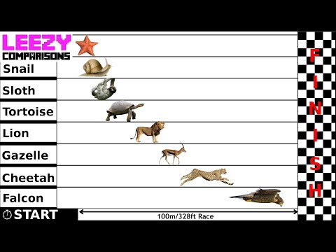 download lagu mp3 mp4 Fast Vs Slow, download lagu Fast Vs Slow gratis, unduh video klip Fast Vs Slow