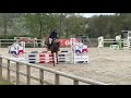 Jument SF de 5 ans