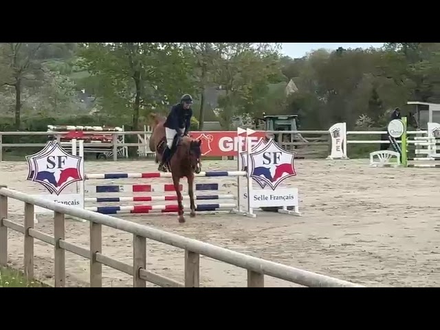 Jument SF de 5 ans