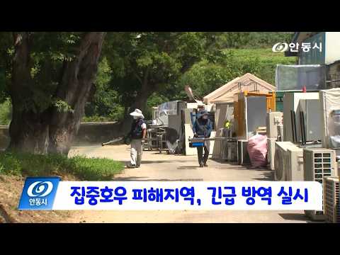 [안동 현장 리포트] 7월 24일, 집중호우 지역, 긴급 방역 실시