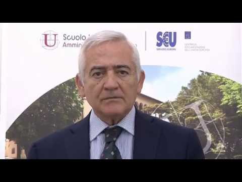 Donato Limone, Ordinario di informatica giuridica