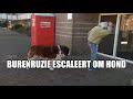 Burenruzie escaleert: Dick maakt ruzie om z’n grote hond
