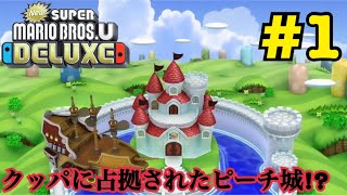 【当時の発売日に収録】クッパに占拠されたピーチ城へ‼︎ NewマリオU Part1