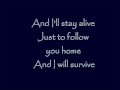 Follow You Home By Nickelback Lyrics
